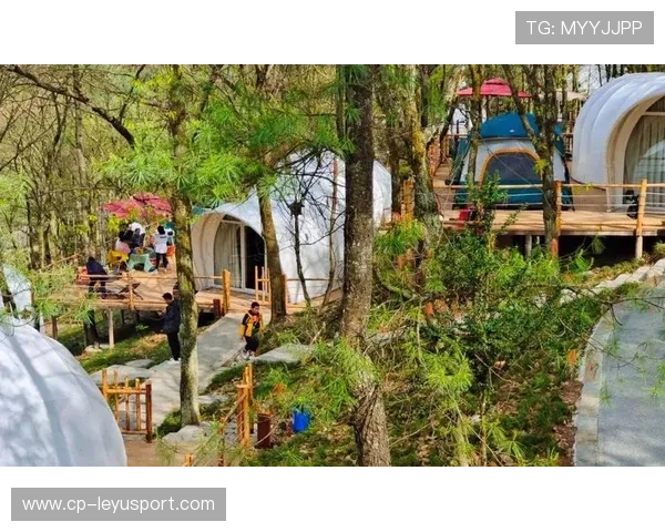 _星空露营运动节：探索自然，放飞心灵_，fun星空露营价格