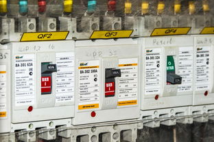 乐鱼中文网站-体育赛事安全管理体系构建与实施效果，体育赛事安全监管