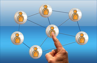 意甲球队季中高强度赛程负荷与表现关系研究，意甲各项记录